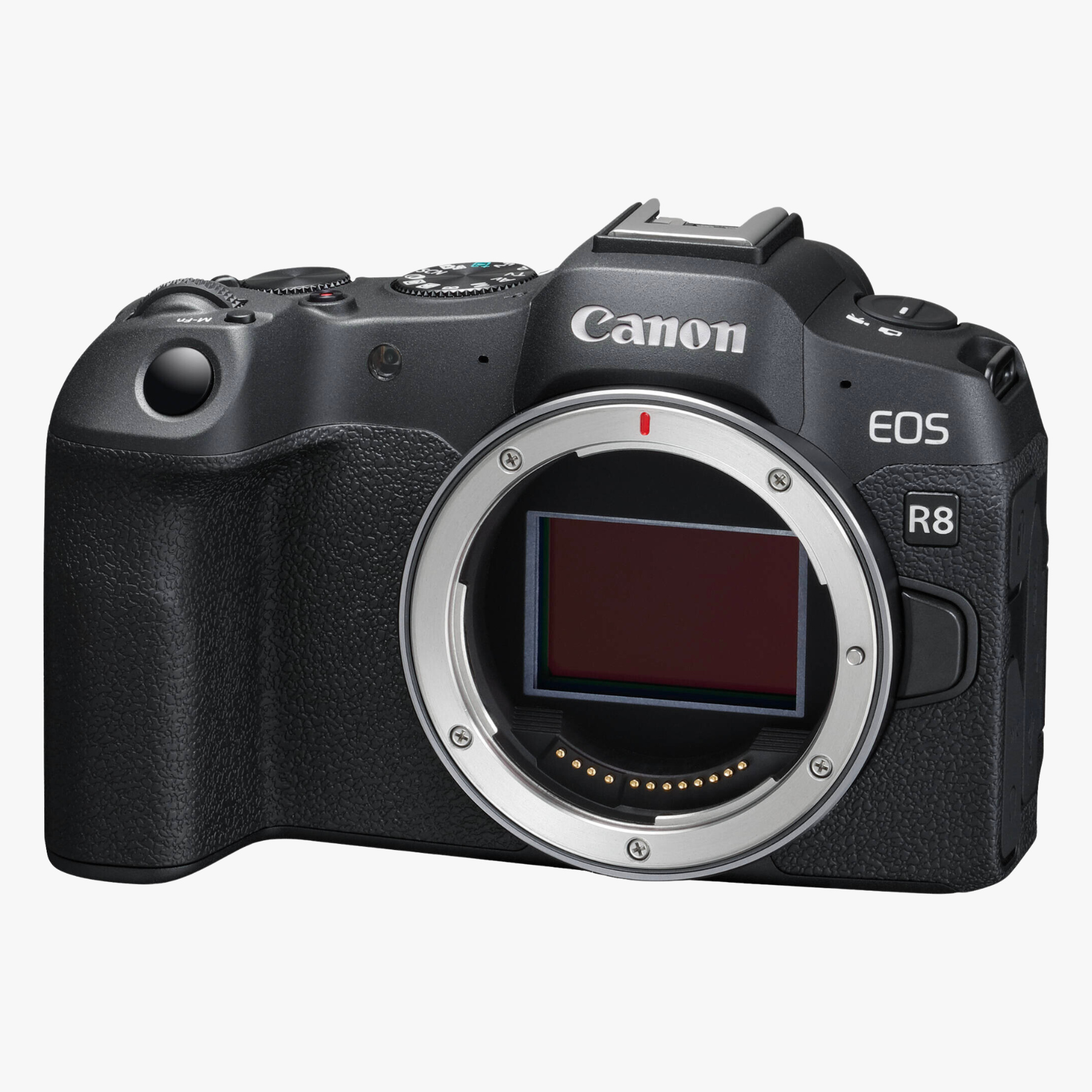 Canon EOS R8 body uai